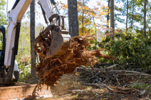 Land Clearing